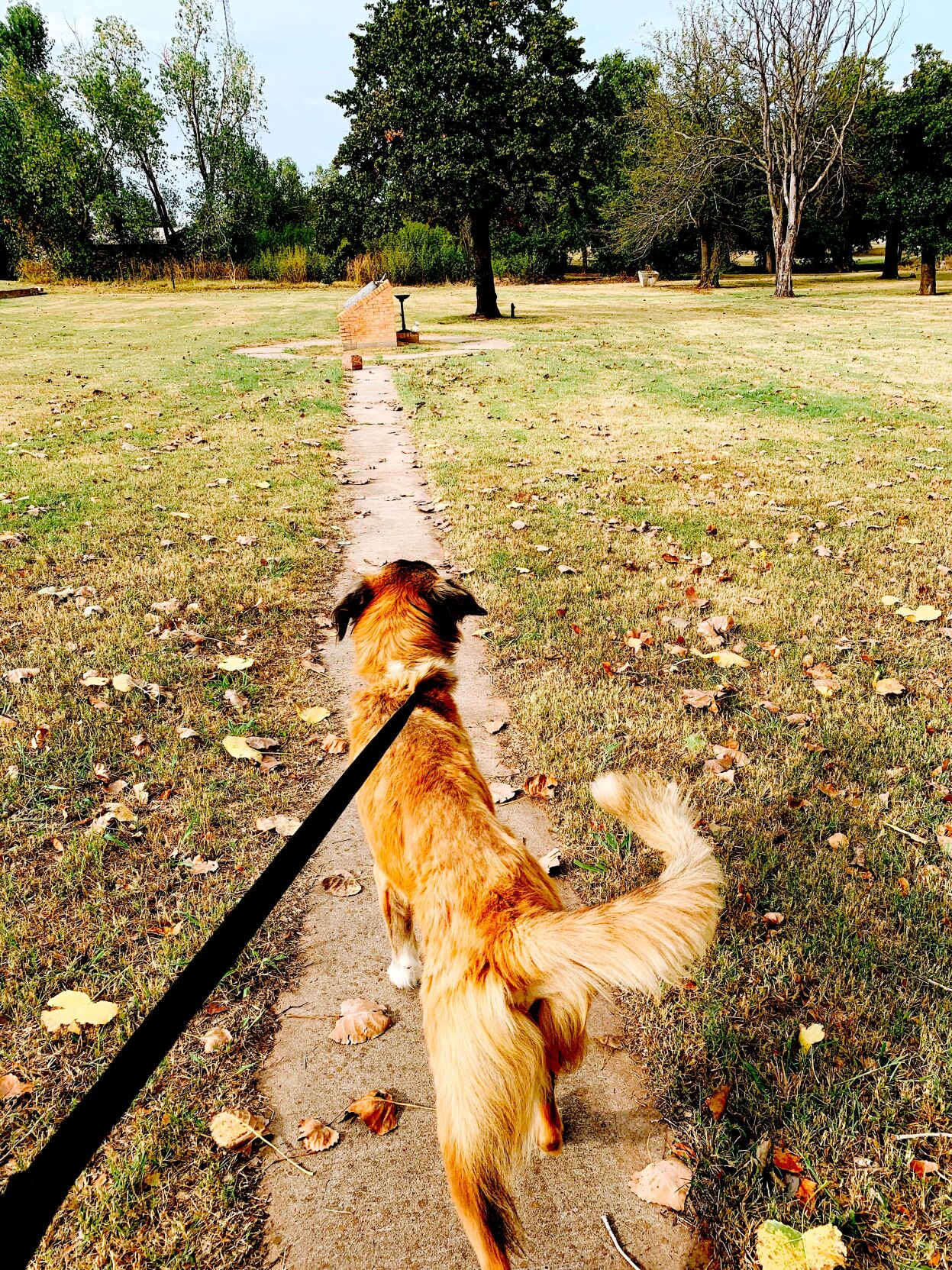 Foster Field Trip photo
